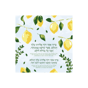 Sukkos Brachos-White